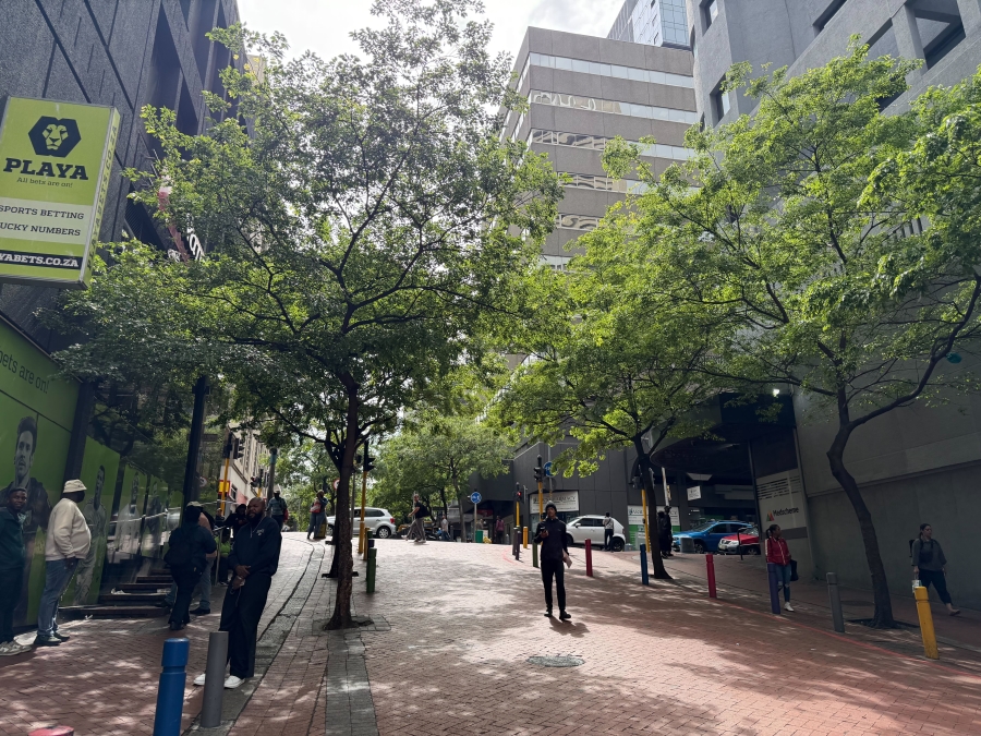 To Let Commercial Property for Rent in Cape Town City Centre Western Cape